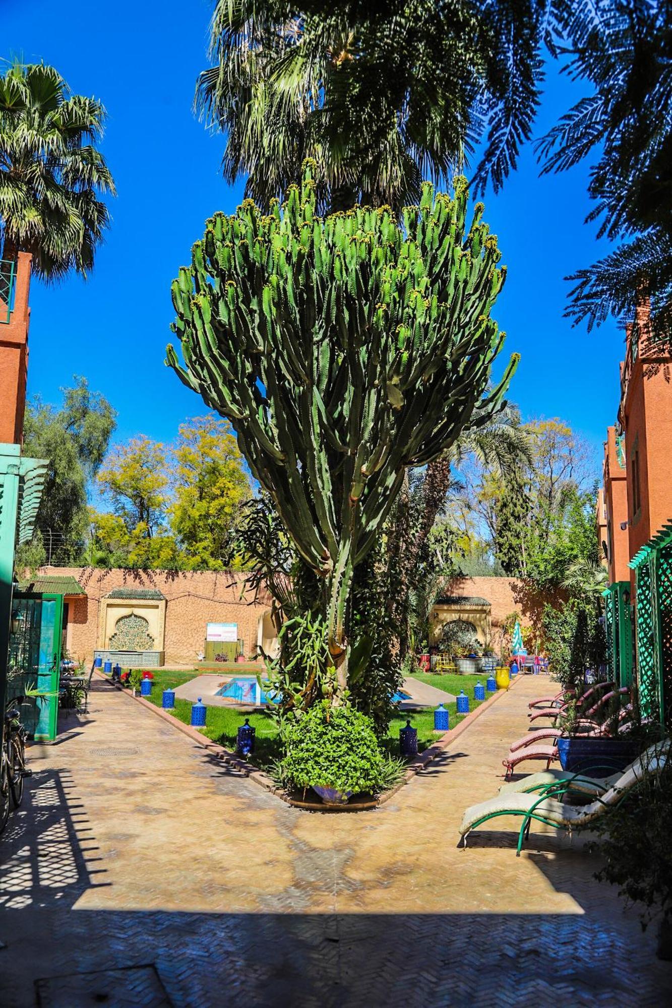 16 Vakantiehuis Marrakesh